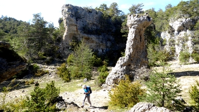 Découverte de la Bourgogne Dijonnaise