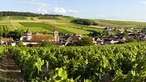 Découverte de la Bourgogne Dijonnaise